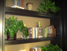 PF Shelving